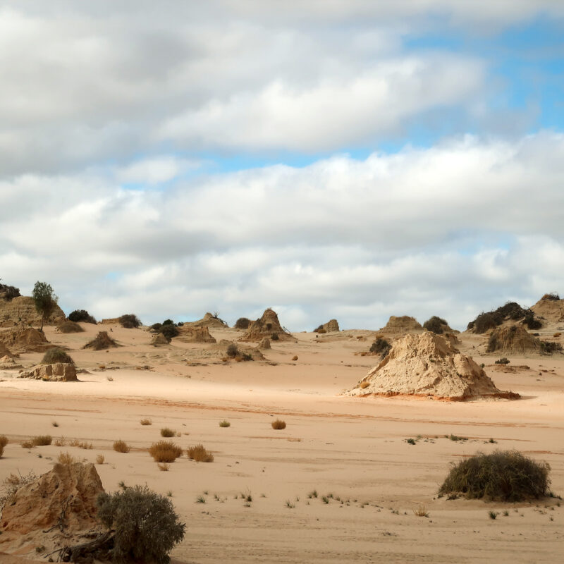 Post Banner_Mungo_Walls of Chine_lunettes on dune